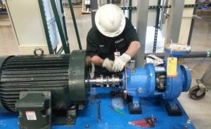 TRAINING ALIGNMENT AND BALANCING IN ROTATING EQUIPMENT