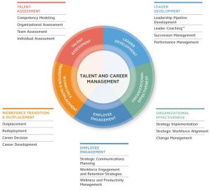 TRAINING CAREER PATH THROUGH TALENT BASED MANAGEMENT