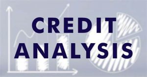 TRAINING CREDIT ANALYSIS MONITORING AND PROBLEM SOLVING