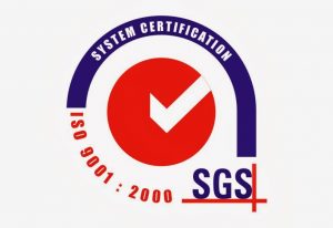 TRAINING DOCUMENTING & IMPLEMENTING OF ISO 9001:2000