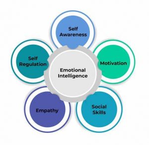 TRAINING ONLINE EMOTIONAL MANAGEMENT FOR PROFESSIONALS/LEADERS