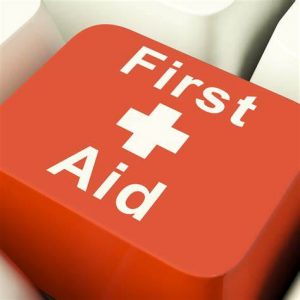 TRAINING FIRST AID (PERTOLONGAN PERTAMA GAWAT DARURAT)