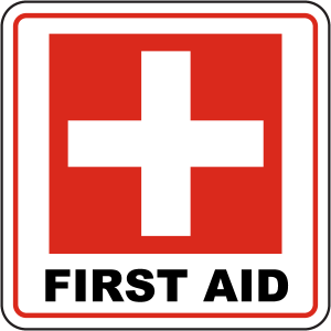 TRAINING FIRST AID (PERTOLONGAN PERTAMA GAWAT DARURAT)