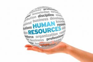 TRAINING HUMAN RESOURCES FOR NON HUMAN RESOURCES