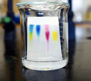 TRAINING INSTRUMENT GAS DETECTOR AND CHROMATOGRAPHY