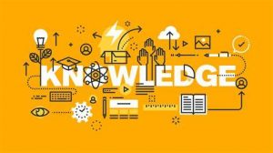 TRAINING KNOWLEDGE MANAGEMENT IN THE ORGANIZATION