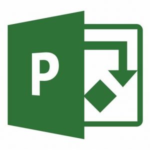 TRAINING MICROSOFT PROJECT: APPLICATION TO PROJECT