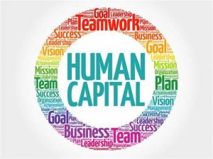 TRAINING ONLIN HUMAN CAPITAL AND PROGRAM