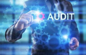 TRAINING ONLINE AUDITING INVESTMENT ACTIVITIES