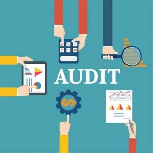 TRAINING ONLINE AUDITING THE HR FUNCTION