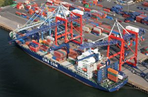 TRAINING ONLINE CARGO