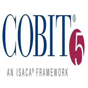 TRAINING ONLINE COBIT 5