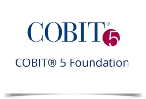 TRAINING ONLINE COBIT 5 FOUNDATION