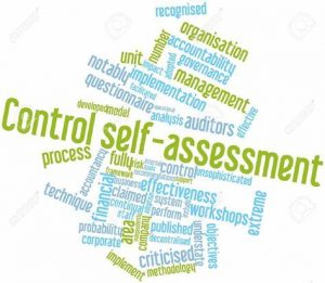 TRAINING ONLINE CONTROL SELF-ASSESSMENT (CSA) BASIC