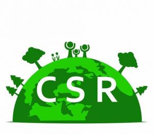 TRAINING ONLINE CORPORATE SOCIAL RESPONSIBILITY (CSR)