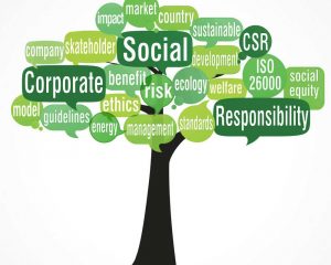 TRAINING ONLINE CSR UNTUK PENGEMBANGAN MASYARAKAT