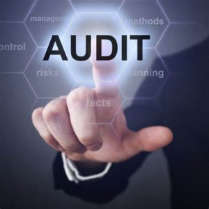 TRAINING ONLINE DASAR-DASAR AUDIT INTERNAL BAGI AUDITOR