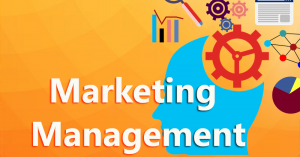 TRAINING ONLINE EFFECTIVE MARKETING MANAGEMENT