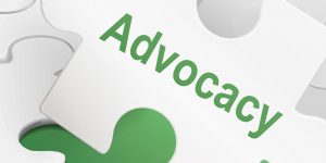 TRAINING ONLINE EFFECTIVE PR ADVOCACY