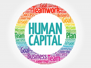 TRAINING ONLINE HUMAN CAPITAL DEVELOPMENT