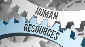 TRAINING ONLINE HUMAN RESOURCE OFFICER