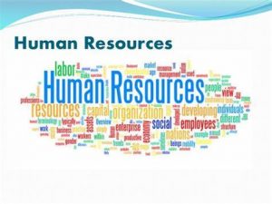 TRAINING ONLINE HUMAN RESOURCES FOR BEGINNERS