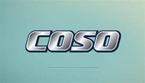 TRAINING ONLINE IMPLEMENTING INTERNAL CONTROL WITH COSO