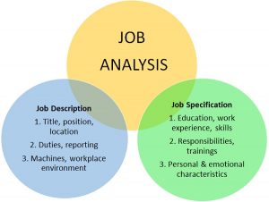 TRAINING ONLINE JOB ANALYSIS