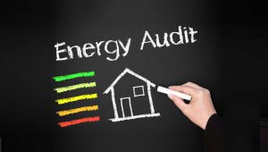 TRAINING ONLINE MANAGEMENT AND AUDIT ENERGY