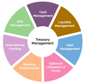 TRAINING ONLINE MANAGING TREASURY RISK