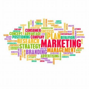 TRAINING ONLINE MARKETING MANAGEMENT