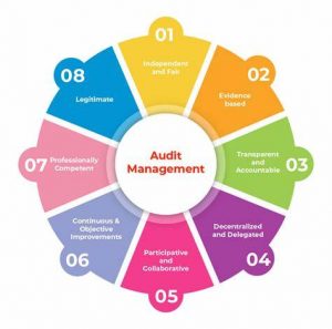 TRAINING ONLINE OPERATIONAL AUDIT MANAGEMENT