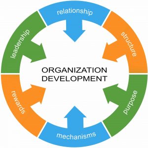 TRAINING ONLINE ORGANIZATION DEVELOPMENT