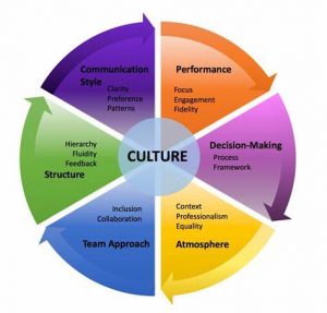 TRAINING ONLINE ORGANIZATIONAL CULTURE PROFILE/STANDARISASI PROFIL BUDAYA ORGANISASI INSTRUMENT VITAL KEUNGGULAN BERSAING ORGANISASI