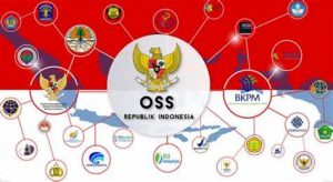 TRAINING ONLINE PENERAPAN OSS PELAYANAN PBTSE