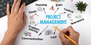 TRAINING ONLINE PROJECT MANAGEMENT