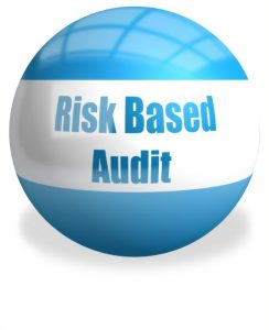 TRAINING ONLINE RISK BASED AUDITING (RBA)