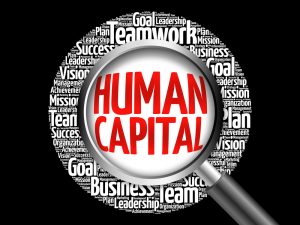 TRAINING ONLINE SISTEM DAN PENGELOLAAN HUMAN CAPITAL