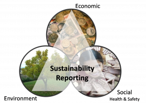 TRAINING ONLINE SUSTAINABILITY REPORTING: BEST PRACTICE