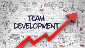 TRAINING ONLINE TEAM DEVELOPMENT