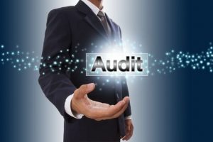 TRAINING ONLINE TRAINING AUDIT EXCELLENCE