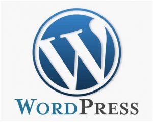 TRAINING PEMAHAMAN DASAR BLOGGING DENGAN WORDPRESS