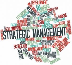 TRAINING STRATEGIC MANAGEMENT AND COMPANY VISION