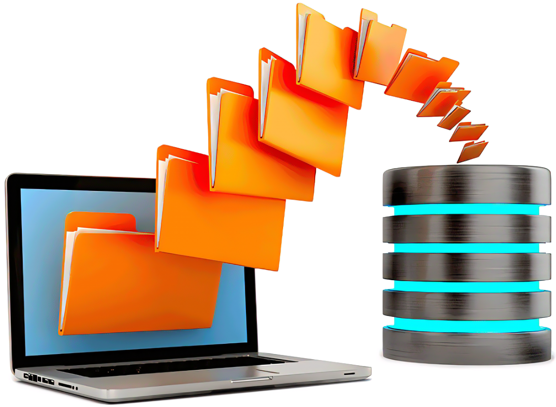 TRAINING ONLINE MANAGEMENT DATABASE & FILE MANAGEMENT
