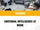 Training EQ at Work