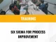 Training Process Improvement Six Sigma