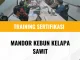 sertifikasi pengelolaan kebun sawit