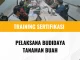 sertifikasi teknik budidaya buah